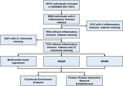 Association between environmental chemicals co-exposure and peripheral blood immune-inflammatory indicators